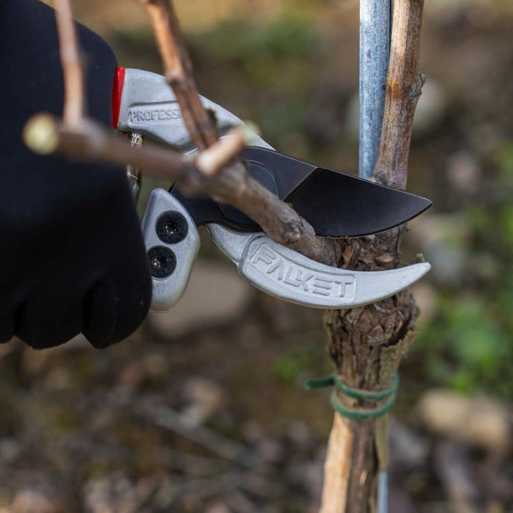 Tagliarami A Cuneo FALKET 10066/A - Lama Curva Acciaio, Sistema Special Lever, Made In Italy