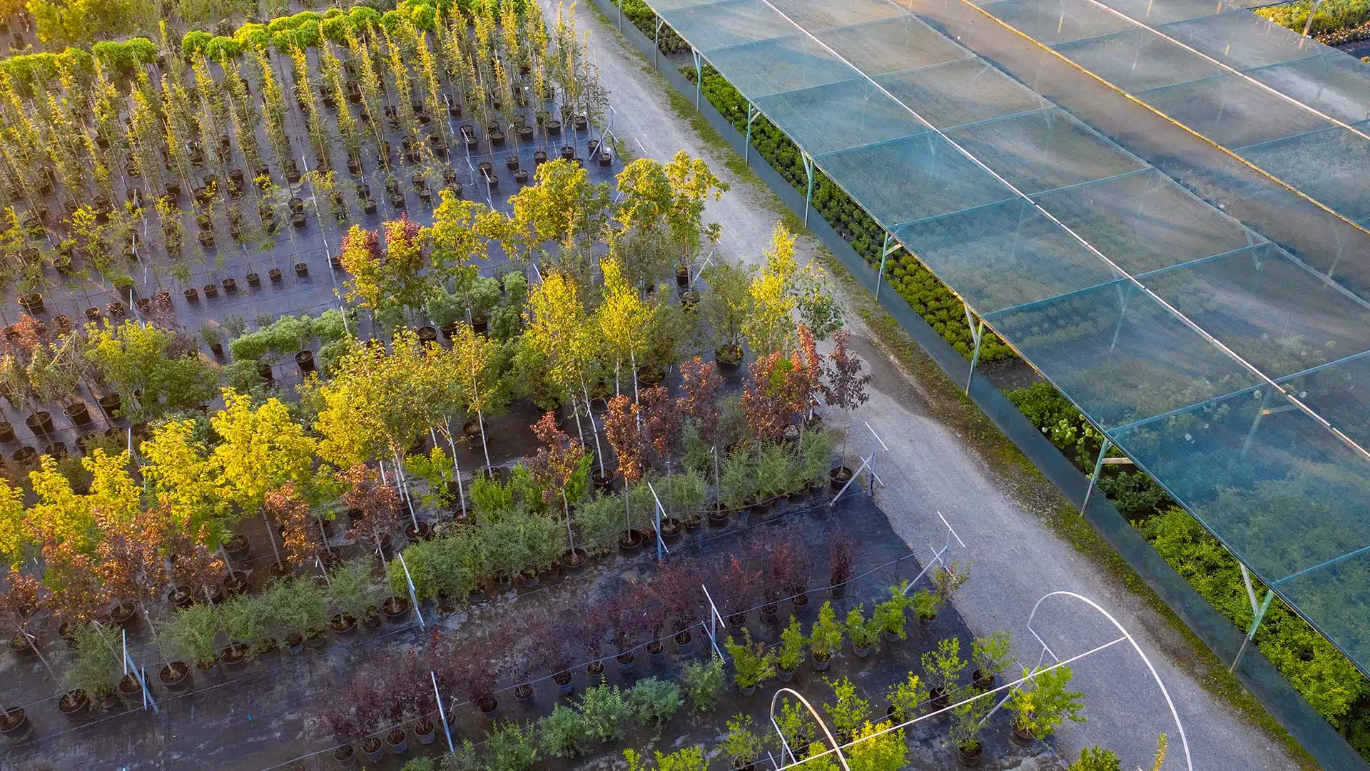 falket-diventa-rivenditore-garden-center falket-diventa-rivenditore-garden-center